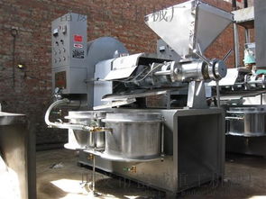 全自動(dòng)榨油機(jī) 從原料到黃金綠色食用油的科技之旅